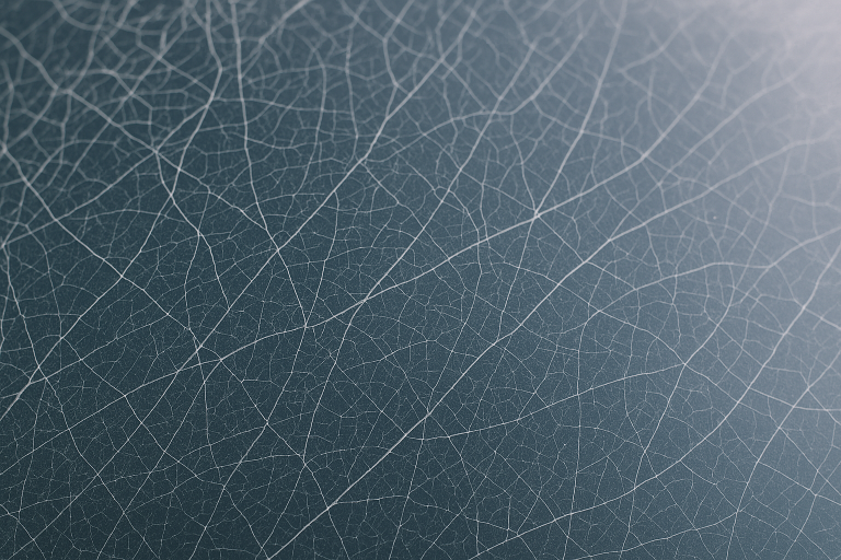 A highly detailed close-up photograph distinctly showing 
